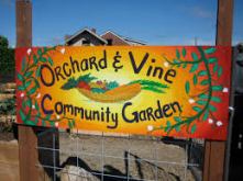 imagesbest orchard and vine